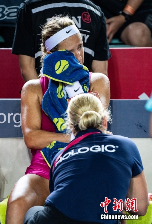 水晶宫的立 水晶宫的立